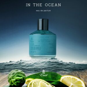 A Chaos in the Ocean